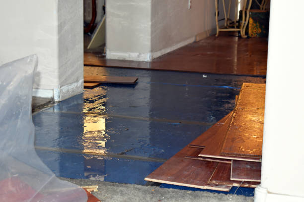 Professional Sewage Cleanup technician working in Warren, ME